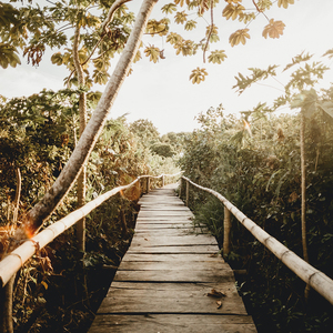 手机看片av免费永久不卡
