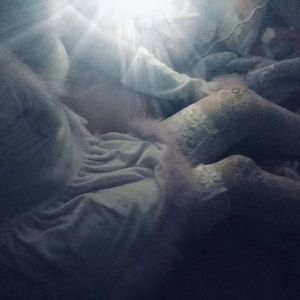 手机看片av免费永久不卡
